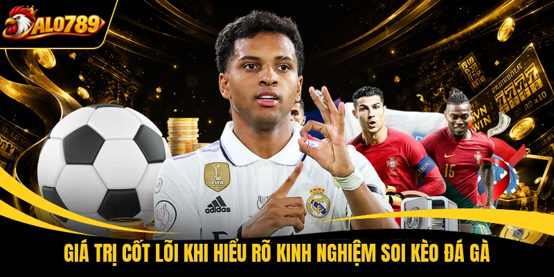 Giá trị cốt lõi khi hiểu rõ kinh nghiệm soi kèo đá gà