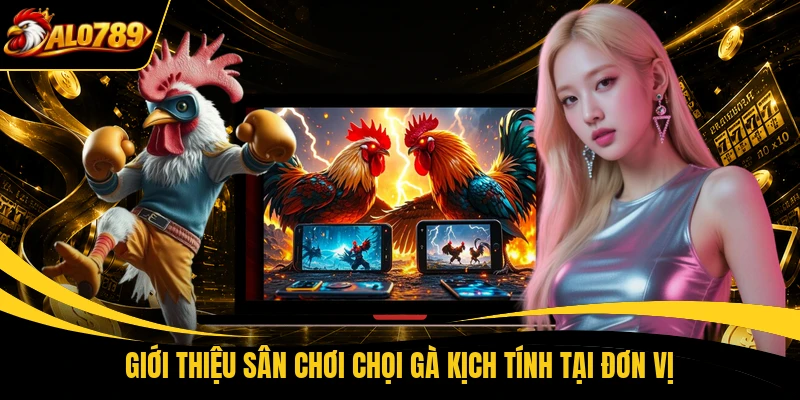 Giới thiệu sân chơi chọi gà kịch tính tại đơn vị